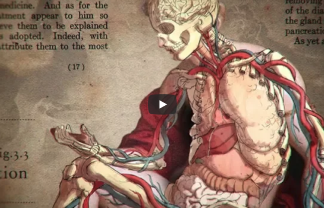 Video – A Brief History of Fat, and Why We Hate It