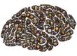 food-addiction-vs-weight-loss-surgery